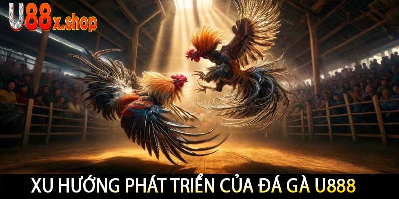Xu Hướng Phát Triển Của Đá Gà U888